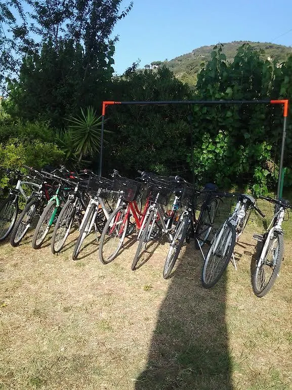 Hotel Rustichello Marina di Campo 0*,